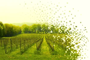 AI Visibility for Wineries: How to Get Found, Trusted, and Chosen by AI